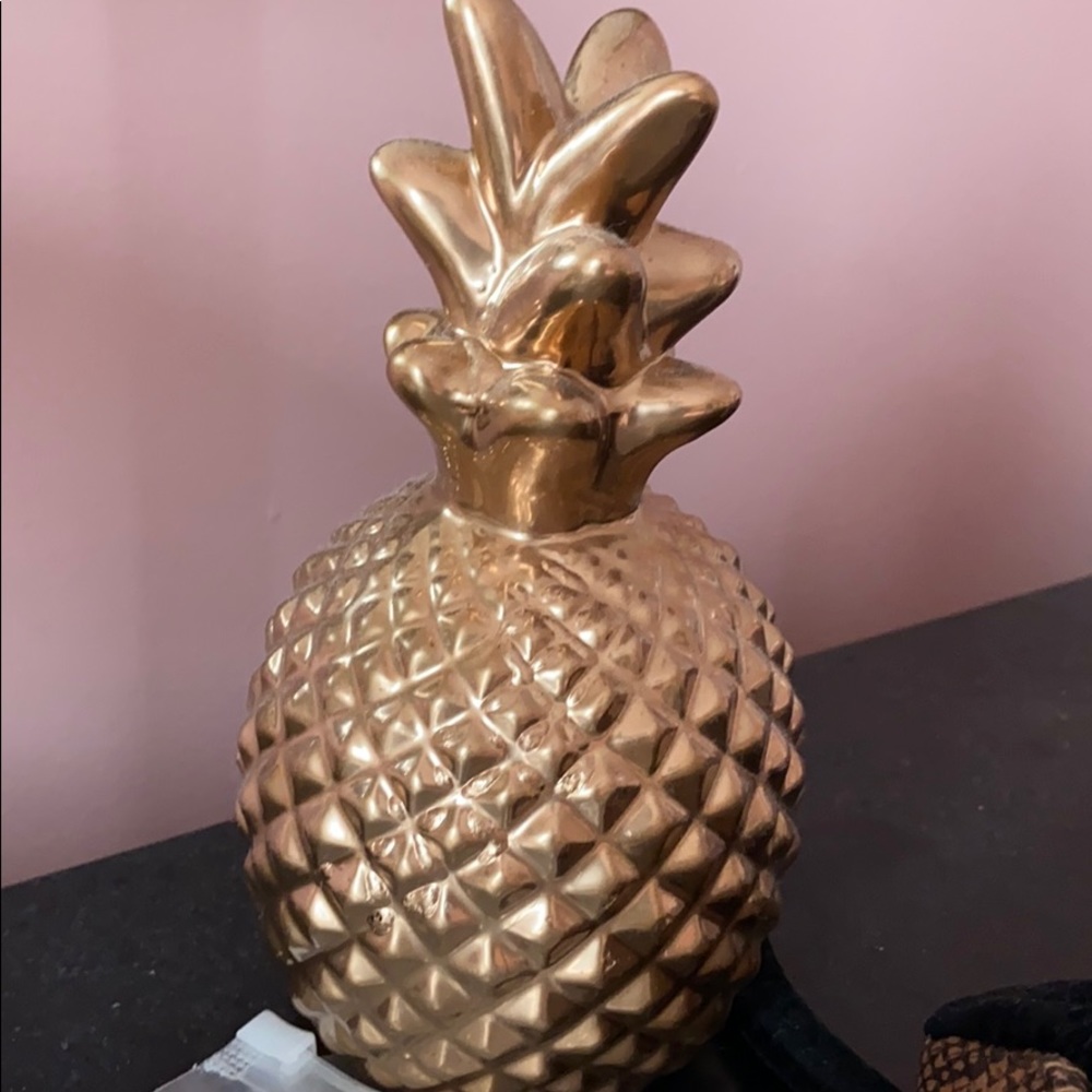 Spray painted rose gold pineapple